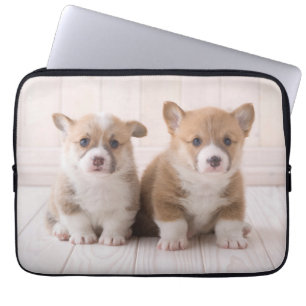 Niedliche Kleintiere   Zwei Baby Corgis sitzen Laptopschutzhülle