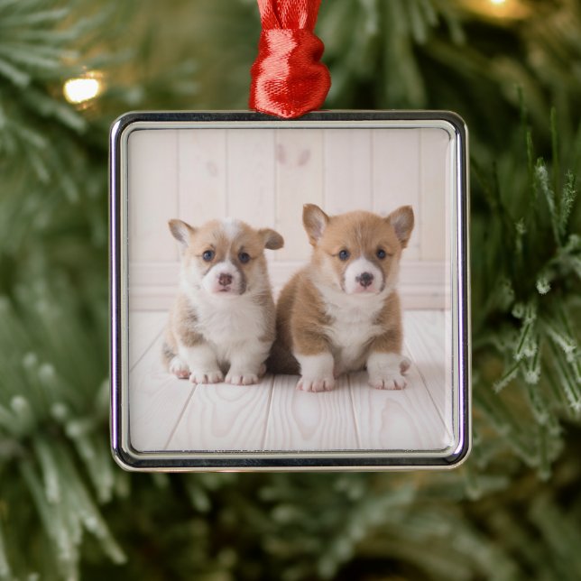 Niedliche Kleintiere | Zwei Baby Corgis sitzen Ornament Aus Metall (Baum)