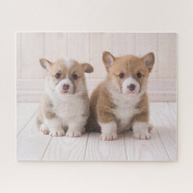 Niedliche Kleintiere | Zwei Baby Corgis sitzen Puzzle (Horizontal)