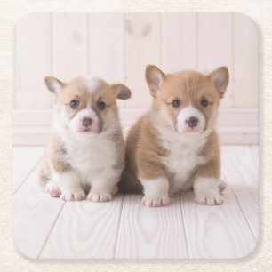 Niedliche Kleintiere Zwei Baby Corgis sitzen Rechteckiger Pappuntersetzer