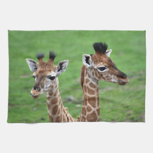Niedliche Kleintiere   Zwei Baby-Giraffen Geschirrtuch