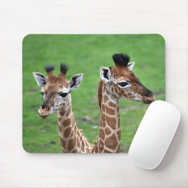Niedliche Kleintiere | Zwei Baby-Giraffen Mousepad (Mit Mouse)