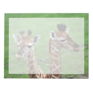 Niedliche Kleintiere Zwei Baby-Giraffen Notizblock