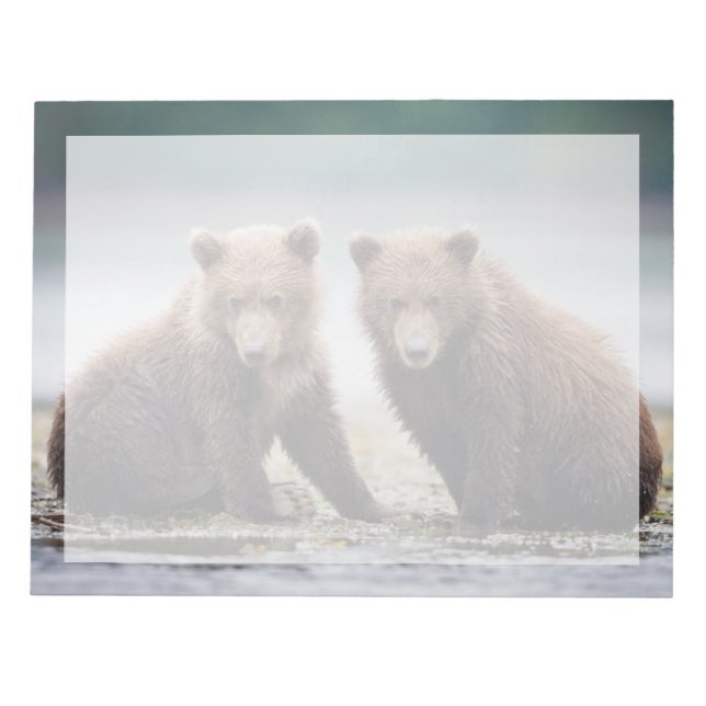 Niedliche Kleintiere | Zwei Bärenkuppen Notizblock (Vorderseite)