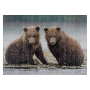 Niedliche Kleintiere   Zwei Bärenkuppen Schneidebrett