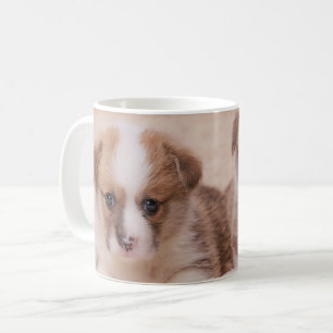 Niedliche Kleintiere   Zwei Corgi Welpen Kaffeetasse