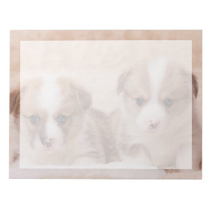 Niedliche Kleintiere Zwei Corgi Welpen Notizblock