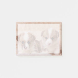 Niedliche Kleintiere Zwei Corgi Welpen Post-it Klebezettel