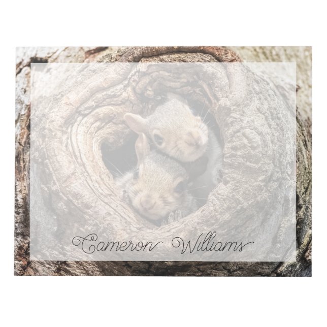 Niedliche Kleintiere | Zwei junge Eichhörnchen Notizblock (Vorderseite)