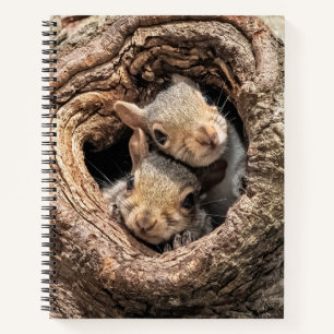 Niedliche Kleintiere Zwei junge Eichhörnchen Notizbuch