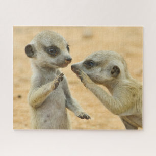 Niedliche Kleintiere   Zwei junge Meerkats Puzzle
