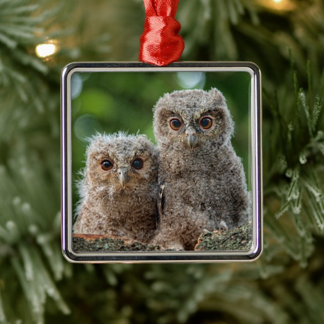 Niedliche Kleintiere | Zwei junge Schafe Ornament Aus Metall (Baum)