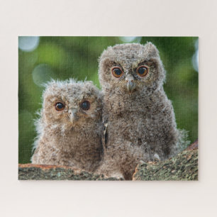 Niedliche Kleintiere Zwei junge Schafe Puzzle