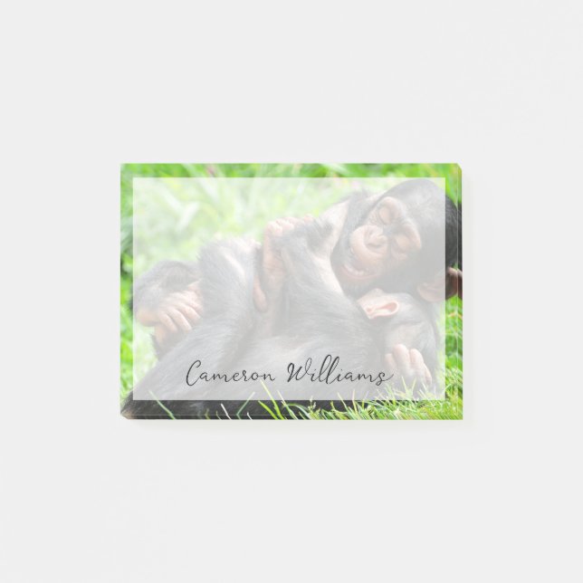 Niedliche Kleintiere | Zwei junge Schimpansen Post-it Klebezettel (Vorderseite)