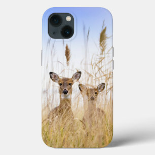 Niedliche Kleintiere Zwei junge Weiße Schwänzer Case-Mate iPhone Hülle