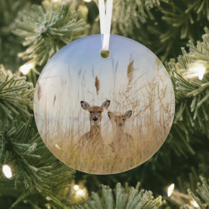 Niedliche Kleintiere   Zwei junge Weiße Schwänzer Ornament Aus Glas