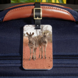 Niedliche Kleintiere   Zwei junge Zebras Gepäckanhänger