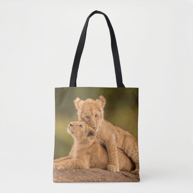 Niedliche Kleintiere | Zwei Lion Cubs (Vorderseite)