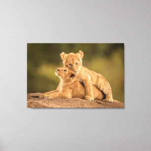 Niedliche Kleintiere Zwei Lion Cubs Leinwanddruck