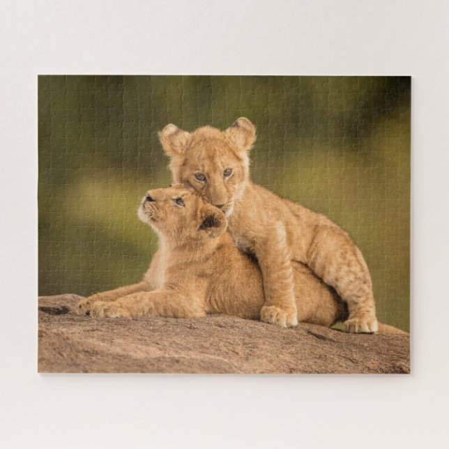 Niedliche Kleintiere | Zwei Lion Cubs Puzzle (Horizontal)