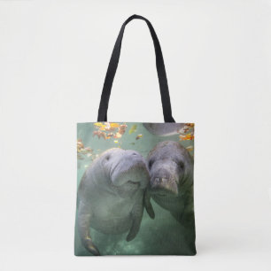 Niedliche Kleintiere   Zwei Manatees