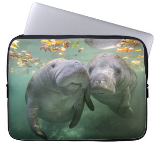 Niedliche Kleintiere Zwei Manatees Laptopschutzhülle