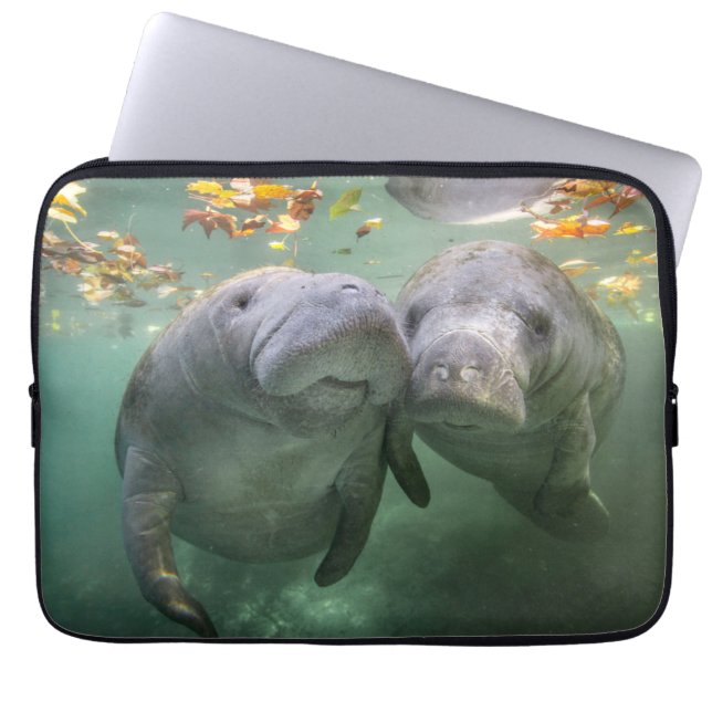 Niedliche Kleintiere | Zwei Manatees Laptopschutzhülle (Vorderseite)