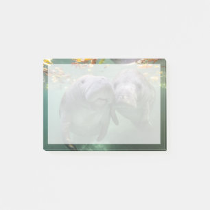 Niedliche Kleintiere Zwei Manatees Post-it Klebezettel