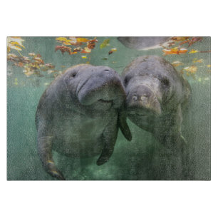Niedliche Kleintiere Zwei Manatees Schneidebrett