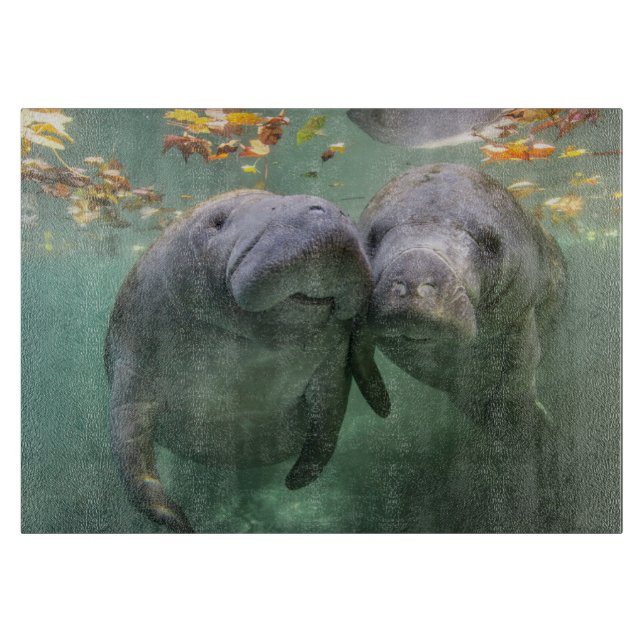 Niedliche Kleintiere | Zwei Manatees Schneidebrett (Vorderseite)