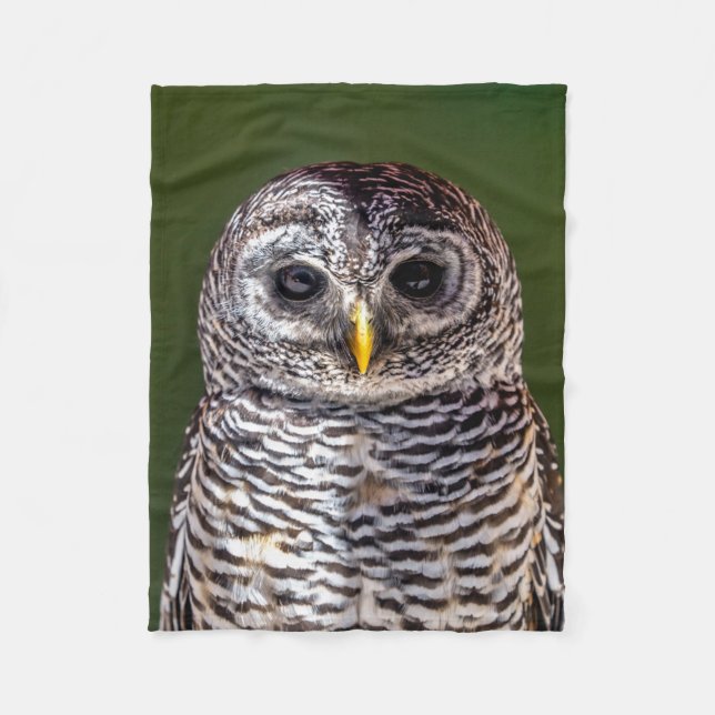 Niedliche Kleintiere | Zwerghuhn Fleecedecke (Vorderseite)