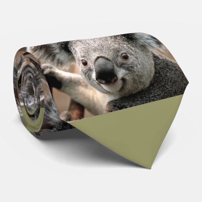 Niedliche Koala-Bärn-Foto-Krawatte (grüner Krawatte (Gerollt)
