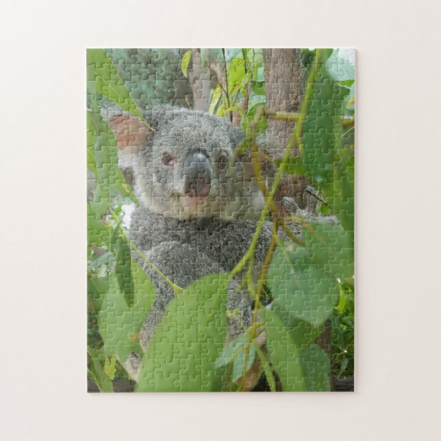 Niedliche Koala Bear Baby Australien Fotografie Puzzle (Vertikal)