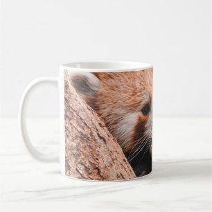 NIEDLICHE KOALA BEAR FAMILIE KAFFEETASSE