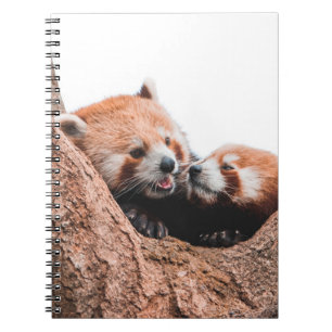 NIEDLICHE KOALA BEAR FAMILIE NOTIZBLOCK