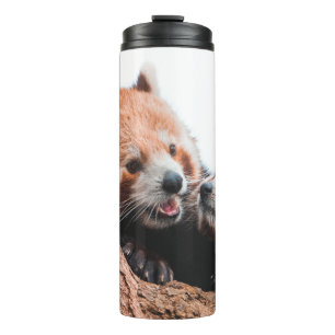 NIEDLICHE KOALA BEAR FAMILIE THERMOSBECHER