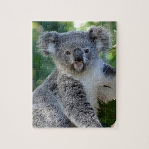 Niedliche, kuschelige australische Koala Puzzle
