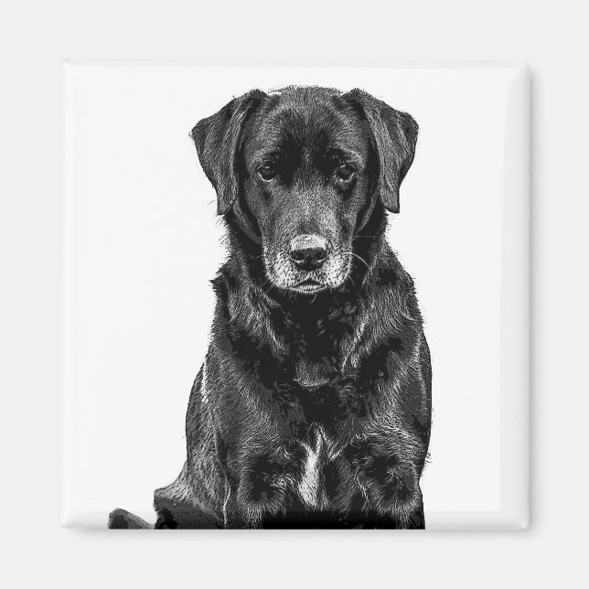 Niedliche Labrador Black Dog Puppy Pet Sketch Magnet (Vorne)