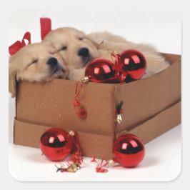 Niedliche Labrador Welpen mit Weihnachtsbaumchen Quadratischer Aufkleber