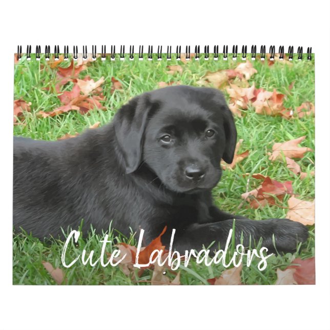 Niedliche Labradoren - Schwarzer Labrador Retrieve Kalender (Titelbild)