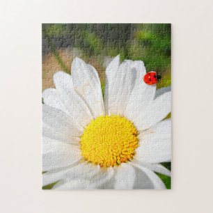Niedliche Ladybird auf Marguerite Daisy Blume Hübs Puzzle