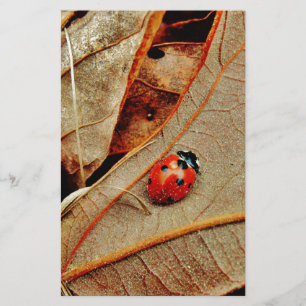 niedliche Ladybug-Kostüme personalisieren Namensge