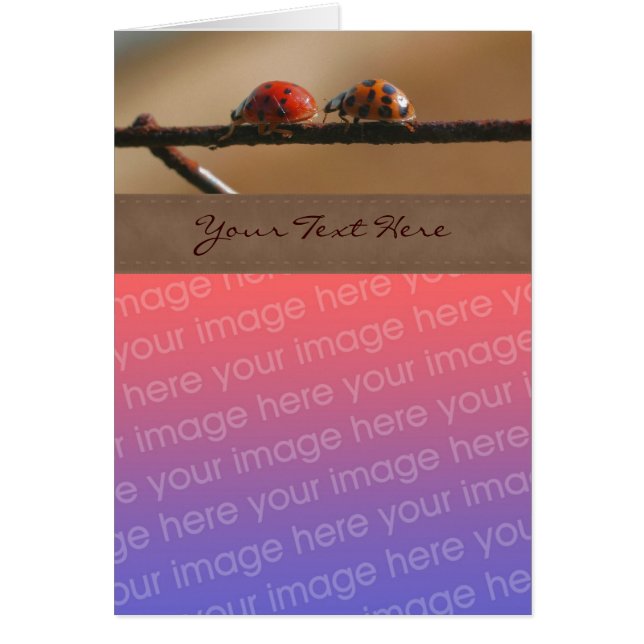 Niedliche Ladybug Pair Natur Ihre Fotokarte (Vorne)