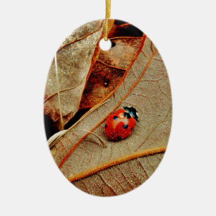 niedliche Ladybug personalisieren Namensgeschenk Keramik Ornament