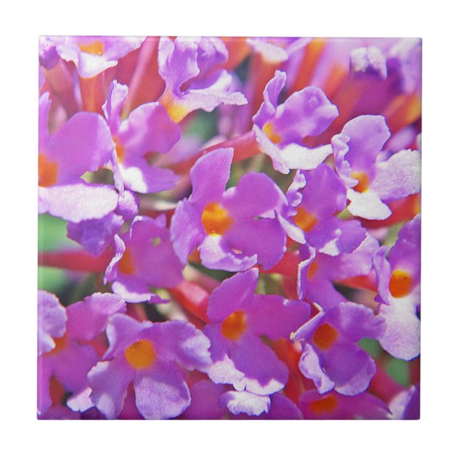 Niedliche lila kleine Blume Fliese (Vorderseite)