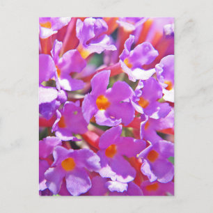 Niedliche lila kleine Blume Postkarte