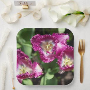 Niedliche lila Tulpen im Garten Pappteller