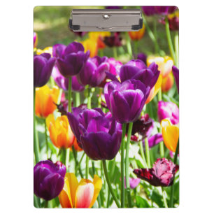 Niedliche lila und gelbe Tulpen Klemmbrett