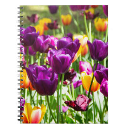 Niedliche lila und gelbe Tulpen Notizblock