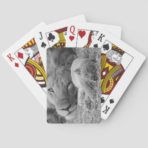 Niedliche Lion-Cub-Ruhigstellung mit dem Vater Spielkarten